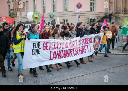 Berlin, Deutschland - Januar 19, 2019: Demonstration "Wir haben es satt", gegen die deutsche und die EU-Agrarpolitik und für eine nachhaltige Landwirtschaft in Berlin Credit: hanohiki/Alamy leben Nachrichten Stockfoto