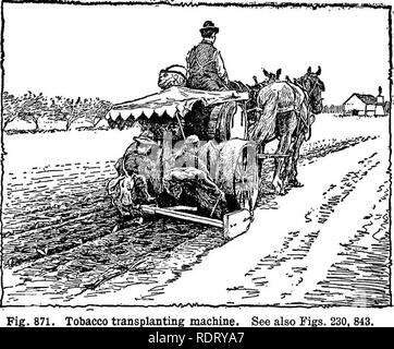 . Cyclopedia von landwirtschaftlichen Kulturpflanzen, einem beliebten Umfrage von Pflanzen und pflanzliche Methoden in den Vereinigten Staaten und Kanada;. Farm produzieren; Landwirtschaft. Tabak Tabak 645 ausreichend, die meisten der Pflanzen zu töten. Wenn irriga - tion ist in wachsenden allgemeinen Erntegut verwendet, ein System von Overhead Sprühdüsen gefunden worden ist, hervorragende Ergebnisse zu geben. In jedem Fall, bevor der Prozess der Jäten das Bett ist, ist es besonders wichtig, gründlich zu wässern. Dies wird jegliche ernsthafte Verletzungen zu den Wurzeln der Tabakpflanze verhindern. Tke Feld Fruchtart. âThe Vorbereitung des Bodens für Sumatra Tabak muß Thor ough werden Stockfoto