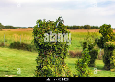 Anyksciai, Litauen - 8. September 2018: Katze Kopf geformt Bush mit Bear Family im Hintergrund in ein formschnitt Garten. Grüne Katze Figur aus arborv Stockfoto