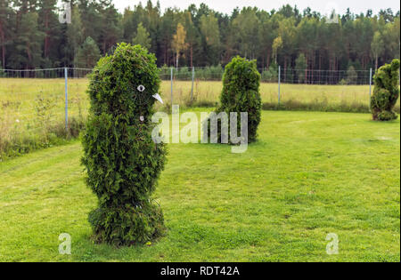 Anyksciai, Litauen - 8. September 2018: Eule und Lion geformte Büsche in einem formschnitt Garten. Grüne owl und Lion Figuren aus der Lebensbaum. Stockfoto