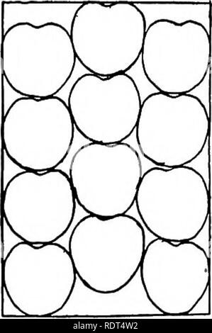 . Die Grundsätze der Obstbau und mit Anwendungen zu üben. Obst - Kultur. 398. Die Grundsätze der Obstbau. Bitte beachten Sie, dass diese Bilder sind von der gescannten Seite Bilder, die digital für die Lesbarkeit verbessert haben mögen - Färbung und Aussehen dieser Abbildungen können nicht perfekt dem Original ähneln. extrahiert. Bailey, L. H. (Liberty Hyde), 1858-1954. New York: Macmillan Stockfoto