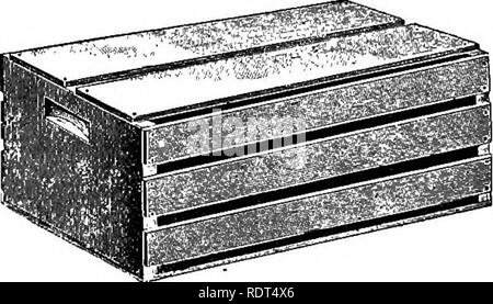 . Die Grundsätze der Obstbau und mit Anwendungen zu üben. Obst - Kultur. Abb. 156. Träger. Top 20-tour-pint Kiste; Mitte, vier-basket Carrier oder Kiste; unten, 16-Quart Kiste.. Bitte beachten Sie, dass diese Bilder sind von der gescannten Seite Bilder, die digital für die Lesbarkeit verbessert haben mögen - Färbung und Aussehen dieser Abbildungen können nicht perfekt dem Original ähneln. extrahiert. Bailey, L. H. (Liberty Hyde), 1858-1954. New York: Macmillan Stockfoto