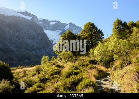 Rob Roy Gletscher führt Wanderer bis eine Schlucht in einen Buchenwald mit Blick auf den Matukituki River und den Matukituki Valley in der Nähe von Wanaka auf der Stockfoto