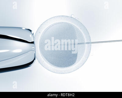 In-vitro-Fertilisation Stockfoto
