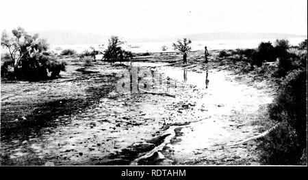 . Der Salton Sea; ein Studium der Geographie, der Geologie, der floristik und der Ökologie in einer Wüste Becken. . A. Segelboot auf Hochwasser - Wasser des Sees in Travertin Waschen, Februar 1907 Baum von Wasser umgeben ist Parosela spinosa. B. in der gleichen Ansicht, Februar 1908, Sickerwasser und tote Bäume. Bitte beachten Sie, dass diese Bilder sind von der gescannten Seite Bilder, die digital für die Lesbarkeit verbessert haben mögen - Färbung und Aussehen dieser Abbildungen können nicht perfekt dem Original ähneln. extrahiert. MacDougal, Daniel Trembly, 1865-1958. Washington, D.C., Carnegie Institution von Washi Stockfoto