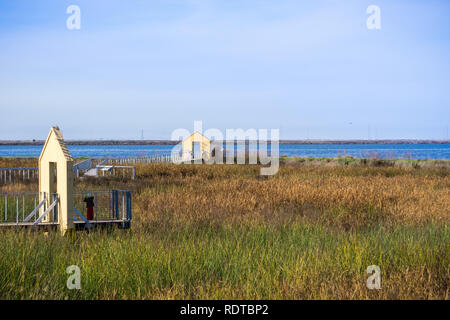 Gang durch den Sumpf bei Alviso Marina County Park, San Jose, Santa Clara County, Kalifornien Stockfoto