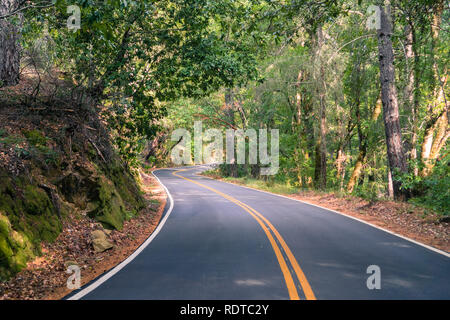 Kurvenreiche Straße durch einen Wald gehen, Big Basin State Park, Santa Cruz Mountains, San Francisco Bay Area, Kalifornien Stockfoto