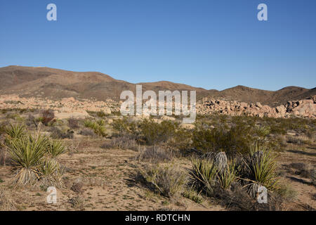 Joshua Tree National Park, Twenty-Nine Palms, 29 Palms, Kalifornien, USA Stockfoto