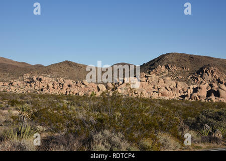 Joshua Tree National Park, Twenty-Nine Palms, 29 Palms, Kalifornien, USA Stockfoto