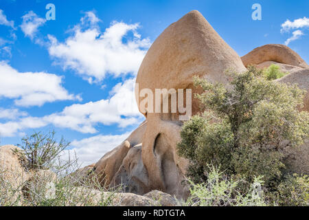 Der Schädel, Rock, Joshua Tree National Park, Kalifornien Stockfoto