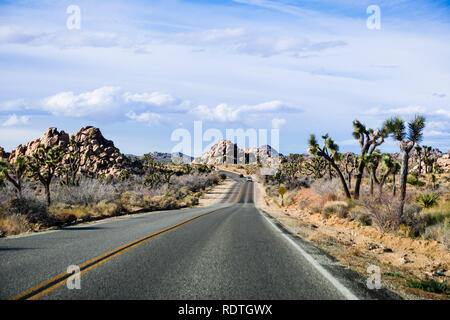 Fahren auf einer asphaltierten Straße in Joshua Tree National Park, Kalifornien Stockfoto