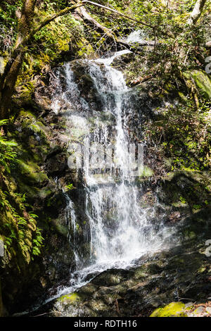 Wasserfall in Uvas Canyon County Park, Santa Clara County, Kalifornien; lange Belichtung Stockfoto