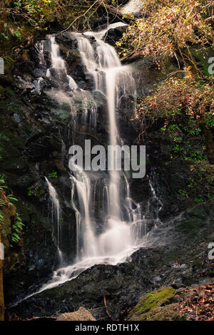 Wasserfall in Uvas Canyon County Park, Santa Clara County, Kalifornien; lange Belichtung Stockfoto