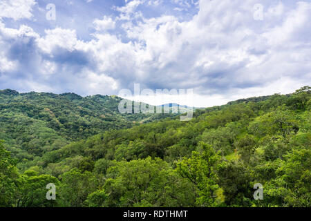 Schöne Aussicht auf die grünen Hügel im Wald und dramatische Wolken bedeckt, Santa Cruz Mountains, südlich von San Jose, San Francisco Bay Area, Kalifornien Stockfoto