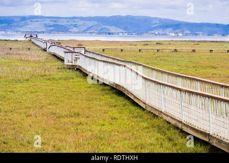 Beschädigte Holzsteg über die Sümpfe von South San Francisco Bay Area, Palo Alto Baylands Park, Kalifornien Stockfoto