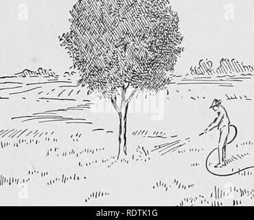 . Wissenschaft des pflanzlichen Lebens, ein High School botany Behandlung der Anlage und ihrer Beziehung zur Umwelt. Botanik. 192 Wissenschaft des pflanzlichen Lebens. Abb. 112. Mit großer Sorgfalt vor, das root-System einen Baum verpflanzt werden können, selbst wenn Sie in Blätter dienen. Einige Stunden vor dem Baum ist gehoben, es ist Thor-Oughly gewässert, damit die Blätter und andere Teile können in ihnen haben ein so grosses Wasser wie möglich. Bitte beachten Sie, dass diese Bilder aus gescannten Seite Bilder, die digital haben für die Lesbarkeit verbessert - Färbung und Aussehen dieser Abbildungen können nicht Perfekt extrahiert werden Stockfoto