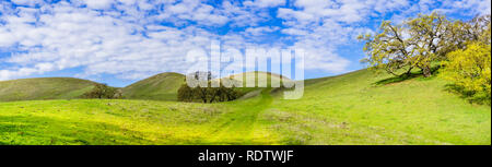 Wanderweg durch die grünen Hügel von South San Francisco Bay Area, San Jose, Kalifornien Stockfoto