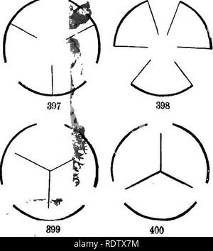 . Gray's Schule und Feld Buch der Botanik. Bestehend aus "Lektionen in der Botanik" und "Feld, Wald und Garten Botanik, "in einem Band gebunden. Botanik; Botanik. 395. Fio. 395. Kapsel von Iris, mit loculicidal Dehiszenz; unten, über schneiden. Über. 396. Pod von einem Sumpf St. John's-Würze, mit septieidal Dehiszenz. Abb. 397, 398. Diagramme der beiden Modi. Fio. 399. Diagramm der septifragal Dehiszenz der loculicidal Typ. 400. Gleichzeitig mit der septieidal oder marginicidal Typ.. Bitte beachten Sie, dass diese Bilder aus gescannten Seite Bilder, die digital für Rea erhöht worden sein können extrahiert werden Stockfoto