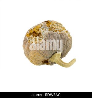 Verrotteten Kürbis auf weißem Hintergrund Stockfoto