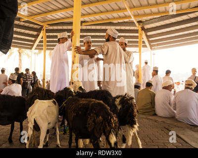 Nizwa, Oman - November 2, 2018: Männer verhandeln den Preis für den Verkauf der Tiere am Freitag Tiermarkt in Nizwa Stockfoto