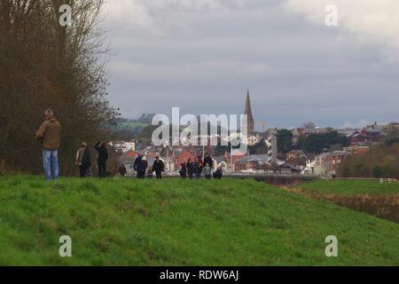 Wanderer durch River Exe Flut Kanal in Richtung Exeter auf der Suche an einem Wintertag. Devon, UK. Stockfoto