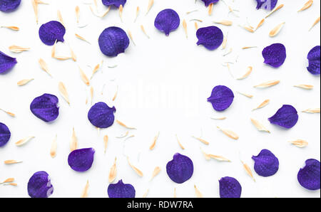 Orchidee Blütenblatt mit Kopie Raum auf weißem Hintergrund. Flaches Design legen Stockfoto