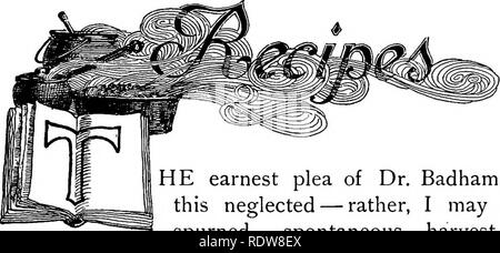. Unsere essbare Fliegenpilze und Pilze und wie Sie zu unterscheiden; eine Auswahl von 30 Einheimischen essen Sorten, leicht erkennbar durch die gekennzeichneten Individualitäten, die mit einfachen Vorschriften für die Identifizierung von giftigen Arten. Pilze; Kochen (Pilze); Cbk. Er ernste Plädoyer von Dr. Badham für diese vernachlässigt, sondern ich darf sagen, verschmäht - spontane Ernte von Pilzen ist gut betont in unseren Seiten; leisten, da es einen eindrucksvollen Kommentar auf die universelle beliebte Unwissenheit, so weit wie Amerika ist Con-cerned, der den wirtschaftlichen Wert dieser mehrjährigen von der Natur, Stockfoto