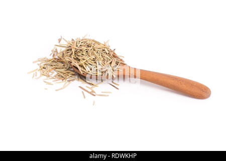 Getrocknete Rosmarin Blätter in hölzernen Löffel auf weißem Hintergrund - Rosmarinus officinalis Stockfoto