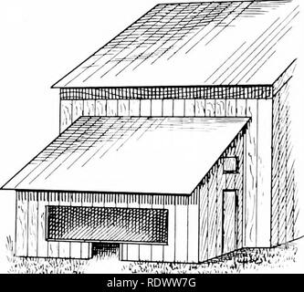 . Der geflügelproduktion. Geflügel. 266 GEFLÜGEL PRODUKTION Graham/gerade in Bezug auf die verschiedenen Arten von Häusern, die an den Ontario landwirtschaftliche Hochschule während eines Zeitraums von mehreren Jahren versucht worden war, sagt: "Die ersten Häuser gebaut gebaut waren fest und warm. Sie waren mit Herd- oder Heißwasser-Rohre, so dass die Vögel konnten bei einer Komfort gehalten werden - in der Lage, Temperatur ausgestattet. Dieser Plan wurde nicht satisfa, Ctory, hauptsächlich aus dem Grund, dass es schwierig war, die Vögel in der guten Gesundheit zu halten und darüber hinaus die Eier waren niedrig im schlüpfen." Bild. 142. Eine "schlanke", wurde umgewandelt in Stockfoto