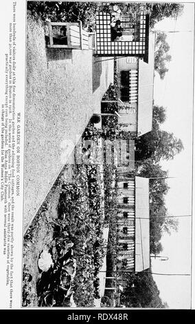 . Der Krieg Garten siegreich. Gemüseanbau; Weltkrieg, 1914-1918. . Bitte beachten Sie, dass diese Bilder sind von der gescannten Seite Bilder, die digital für die Lesbarkeit verbessert haben mögen - Färbung und Aussehen dieser Abbildungen können nicht perfekt dem Original ähneln. extrahiert. Pack, Charles Lathrop, 1857-1937. Philadelphia, Presse von J. S. Lippincott Co Stockfoto