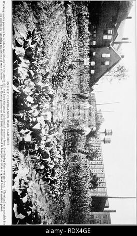 . Der Krieg Garten siegreich. Gemüseanbau; Weltkrieg, 1914-1918. . Bitte beachten Sie, dass diese Bilder sind von der gescannten Seite Bilder, die digital für die Lesbarkeit verbessert haben mögen - Färbung und Aussehen dieser Abbildungen können nicht perfekt dem Original ähneln. extrahiert. Pack, Charles Lathrop, 1857-1937. Philadelphia, Presse von J. S. Lippincott Co Stockfoto