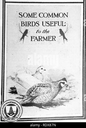 . [Gesammelt Nachdrucke, 1895-1916. Vögel. Us-LANDWIRTSCHAFTSMINISTERIUM LANDWIRTE Bulletin Nr. 630. Bitte beachten Sie, dass diese Bilder sind von der gescannten Seite Bilder, die digital für die Lesbarkeit verbessert haben mögen - Färbung und Aussehen dieser Abbildungen können nicht perfekt dem Original ähneln. extrahiert. Beal, F.E.L. (Foster Ellenborough Lascelles), 1840-1916. , N. n. Stockfoto