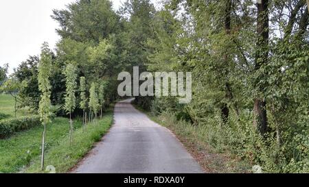 Bereich Naturalistica Molino Zanini fiume Gegend hier is viel. Stockfoto