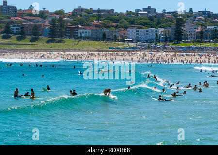 Surfer die Wellen am Bondi Beach in Sydney NSW Australien Stockfoto