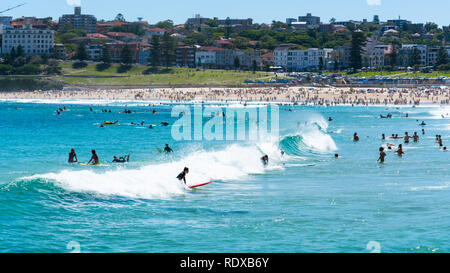 Surfer die Wellen am Bondi Beach in Sydney NSW Australien Stockfoto