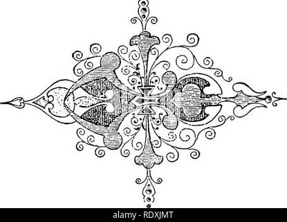 . Die Reben von nordöstlichem Amerika;. Kletterpflanzen. XXVI. 13 Virgin's Bower (Clematis), Klettern - ing durch die Verzahnung von Blatt- und Broschüre - Stiele, Seite 4. Leather-Flower (Clematis), Klettern - ing durch die Verzahnung von Blatt- und Broschüre - Stiele, Seite 6. Whorled Clematis (Clematis), Klettern durch die Verzahnung von Blatt- und Broschüre - Stiele, Seite 6. Trumpet-Creeper (tecoma), Klettern durch Feinstwurzeln, Seite 151. Teufelszwirn (Cuscuta), Seite 139.. Bitte beachten Sie, dass diese Bilder extrahiert werden aus der gescannten Seite Bilder, die digital für die Lesbarkeit verbessert haben mögen - Färbung und Aussehen dieser i Stockfoto