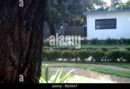 Bereiche verdes de la Universidad Católica Cecilio Acosta 2. Stockfoto