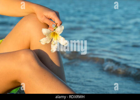 Weiße Blumen frangipani in Frauenhand gegen das Meer, Strand und blauer Himmel. Tropische Blumen Plumeria am Strand. Meer Hintergrund. Konzept ein Stockfoto