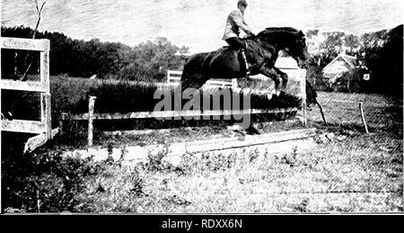 . Unsere heimische Tiere, ihre Gewohnheiten, Intelligenz und Nützlichkeit; tr. Aus dem Französischen von Gos. De Voogt, von Katharine S. Wormeley;. Heimische Tiere. Das Pferd 14: dass das Pferd zuerst nach unten und dann springen bis zu springen. Auf diese Weise, dass die alten bhnd Mann seit mehreren Jahren gejagt. Manchmal den Parkservice, der nicht so gut ein Reiter wie sein Meister," kam eine cropper" in einem Graben, während der alte Mann seinen Weg fortgesetzt, im Vertrauen auf den Instinkt von seinem Pferd, das Horn des Jagt - Mann, oder den Schrei der Hunde. Der Geschmack an der Jagd ist so beliebt, sowohl in England und in Irland, dass ein Fuchs durch h jagte Stockfoto