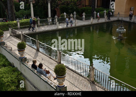 Der Alcazar, Sevilla, Andalusien, Spanien Stockfoto