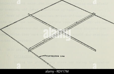 . Die Ökologie der benthischen und endolithic Gemeinschaften von einem felsigen Riff in der Kelp Betten aus Del Monte Beach, Monterey, Kalifornien. Ozeanographie. Abbildung 9. Funktionsweise der Quadrat Cross-Bar 37. Bitte beachten Sie, dass diese Bilder sind von der gescannten Seite Bilder, die digital für die Lesbarkeit verbessert haben mögen - Färbung und Aussehen dieser Abbildungen können nicht perfekt dem Original ähneln. extrahiert. Hoffman, Richard Gurney. Monterey, Kalifornien: US Naval Postgraduate School Stockfoto