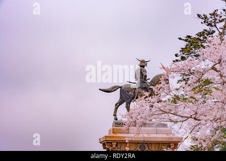 Eine Statue von Masamune Date auf dem Pferderücken in Sendai Schloss in voller Blüte Kirschblüte, Aobayama Park, Sendai, Miyagi, Japan Stockfoto