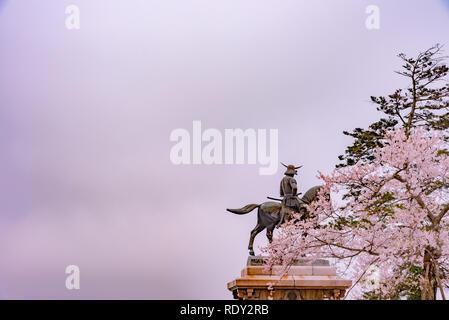 Eine Statue von Masamune Date auf dem Pferderücken in Sendai Schloss in voller Blüte Kirschblüte, Aobayama Park, Sendai, Miyagi, Japan Stockfoto