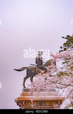 Eine Statue von Masamune Date auf dem Pferderücken in Sendai Schloss in voller Blüte Kirschblüte, Aobayama Park, Sendai, Miyagi, Japan Stockfoto