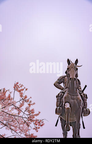 Eine Statue von Masamune Date auf dem Pferderücken in Sendai Schloss in voller Blüte Kirschblüte, Aobayama Park, Sendai, Miyagi, Japan Stockfoto