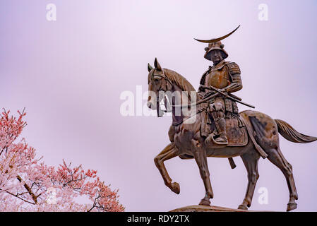 Eine Statue von Masamune Date auf dem Pferderücken in Sendai Schloss in voller Blüte Kirschblüte, Aobayama Park, Sendai, Miyagi, Japan Stockfoto