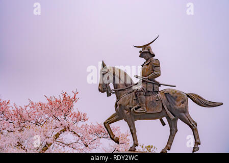 Eine Statue von Masamune Date auf dem Pferderücken in Sendai Schloss in voller Blüte Kirschblüte, Aobayama Park, Sendai, Miyagi, Japan Stockfoto