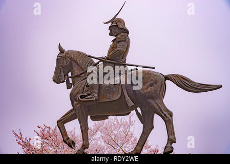 Eine Statue von Masamune Date auf dem Pferderücken in Sendai Schloss in voller Blüte Kirschblüte, Aobayama Park, Sendai, Miyagi, Japan Stockfoto