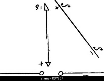 . Studien in Allgemeine Physiologie. Physiologie; Phototropismus; Geotropism; Reproduktion; Reizbarkeit, Regeneration (Biologie). x&gt; Auswirkungen von Eleotkical Wellen 487 Wenn nun die Vorbereitung ist so mit Bezug auf den Funkenschlag, eine Kontraktion einfach unmöglich ist während der Passage des Funken erzeugt, eine Kontraktion kann wieder herbeigeführt werden Wenn ein Spiegel 88 (Abb. 142) ist so angeordnet, dass das eine Ende ist Nahe, der Sphäre der Entschlacker, die am weitesten weg von der Vorbereitung, während ^^^ das andere Ende der Spiegel ist in der Nähe, dass Ende des prep-aration der geleitet wird entfernt Stockfoto
