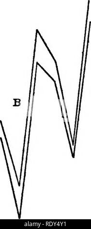 . Anlage Gewohnheiten und Lebensräume in den trockenen Teile von South Australia. Ökologie der Pflanzen; Botanik; Wüste Pflanzen. . Bitte beachten Sie, dass diese Bilder sind von der gescannten Seite Bilder, die digital für die Lesbarkeit verbessert haben mögen - Färbung und Aussehen dieser Abbildungen können nicht perfekt dem Original ähneln. extrahiert. Cannon, William Austin, 1870. Washington, der Carnegie Institution in Washington Stockfoto